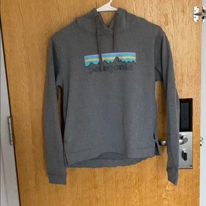 Small Gray Patagonia Hoodie